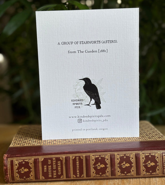 I Love You A Bunch - greeting card