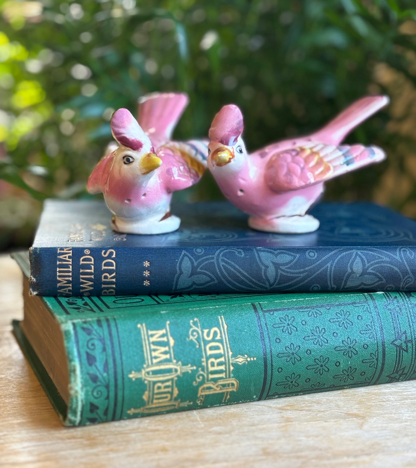 Pink Bird Salt & Pepper Shakers