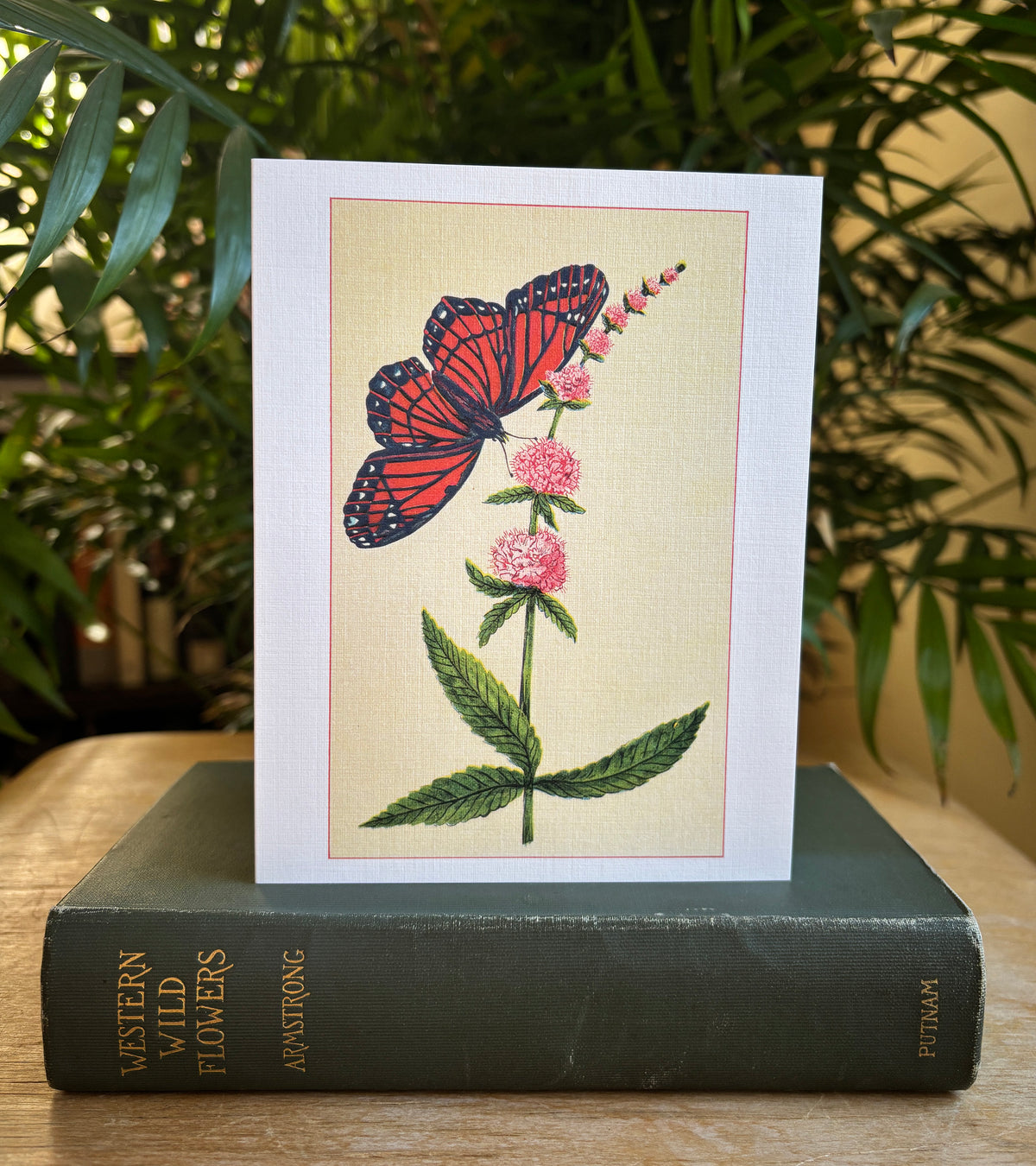 Wild flowers of America - greeting card 4 pack (Bouquet 1)