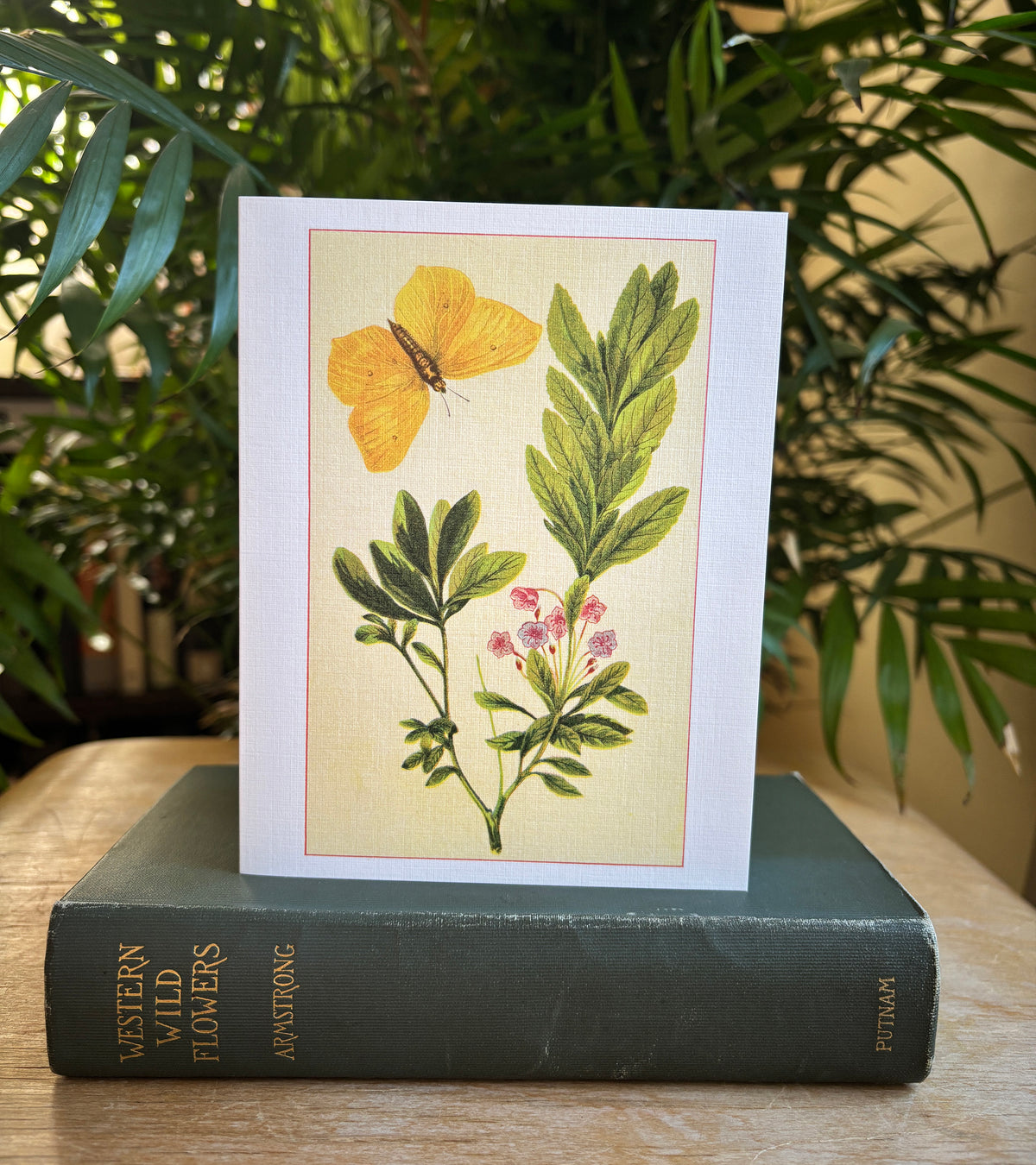 Wild flowers of America - greeting card 4 pack (Bouquet 1)