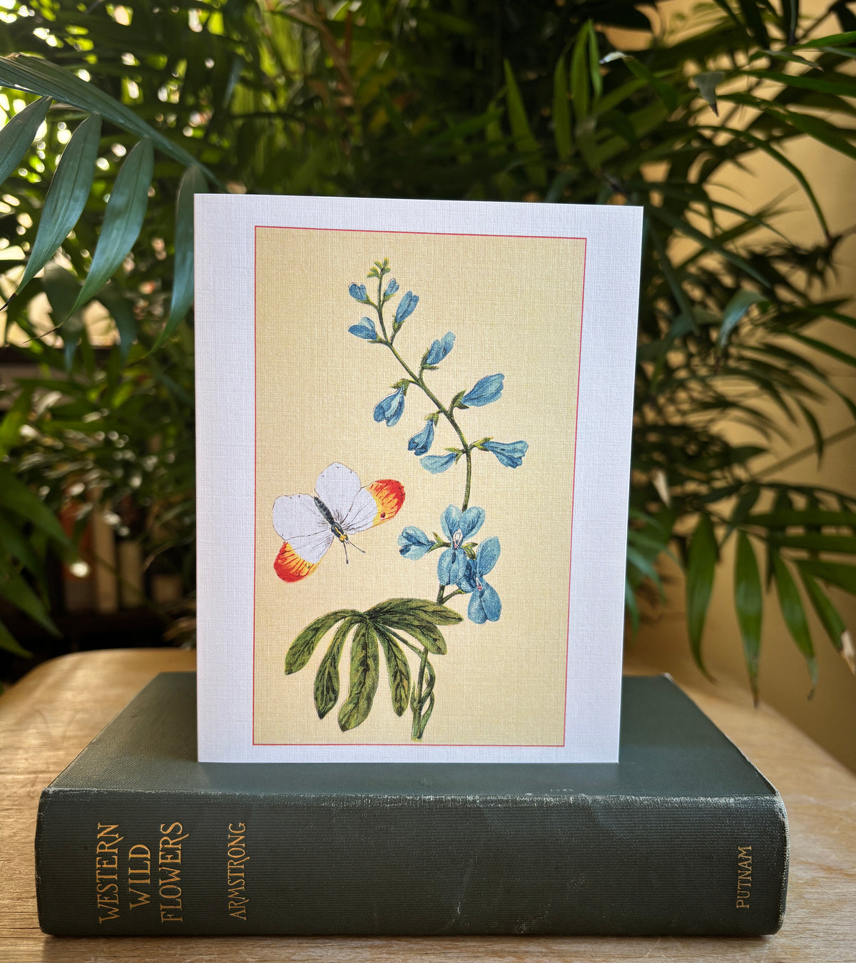 Wild flowers of America - greeting card 4 pack (Bouquet 1)
