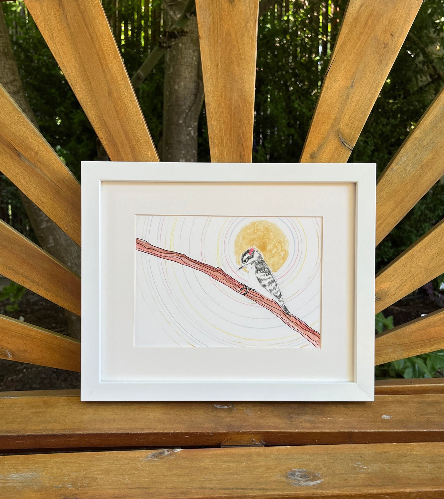 Downy Woodpecker - Archival print