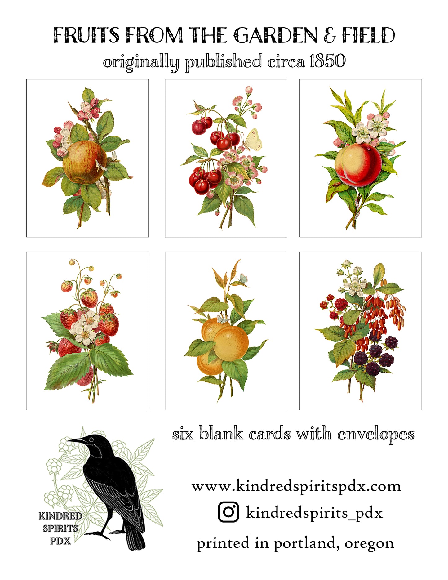 Fruits From the Garden and Field - greeting card 6 pack