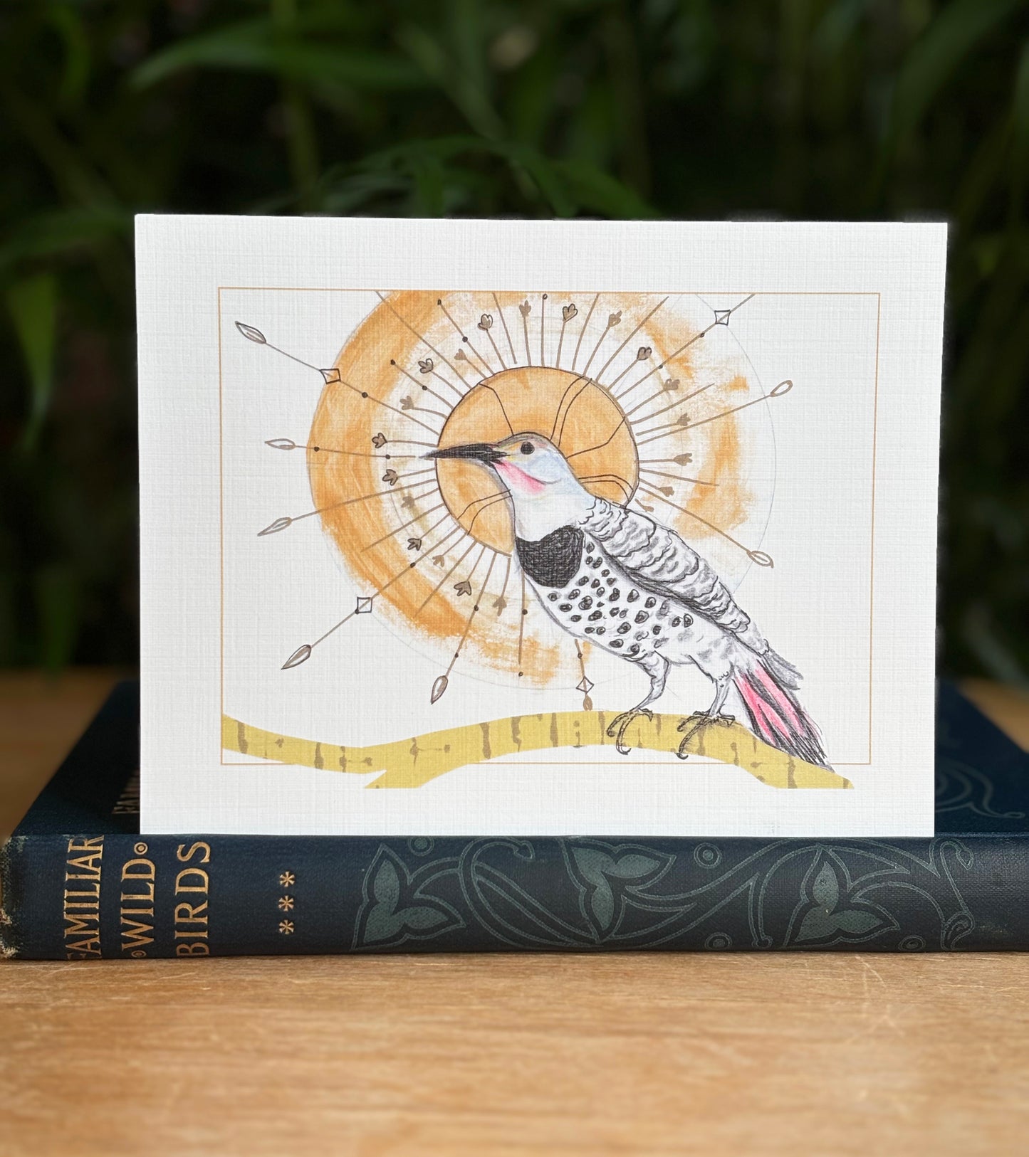Backyard Birds of the Pacific Northwest greeting card 6 pack