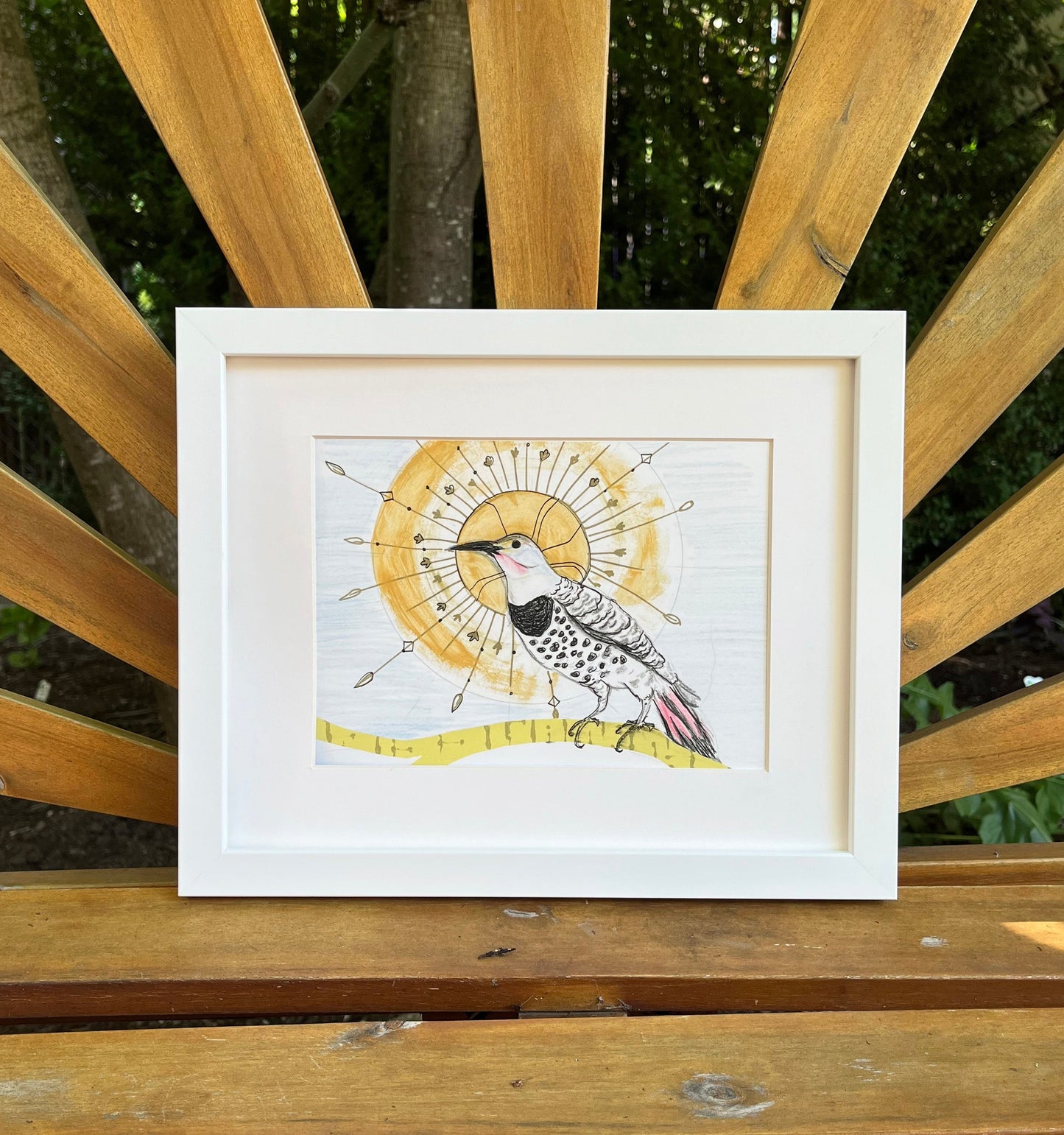 Northern Flicker - Archival print