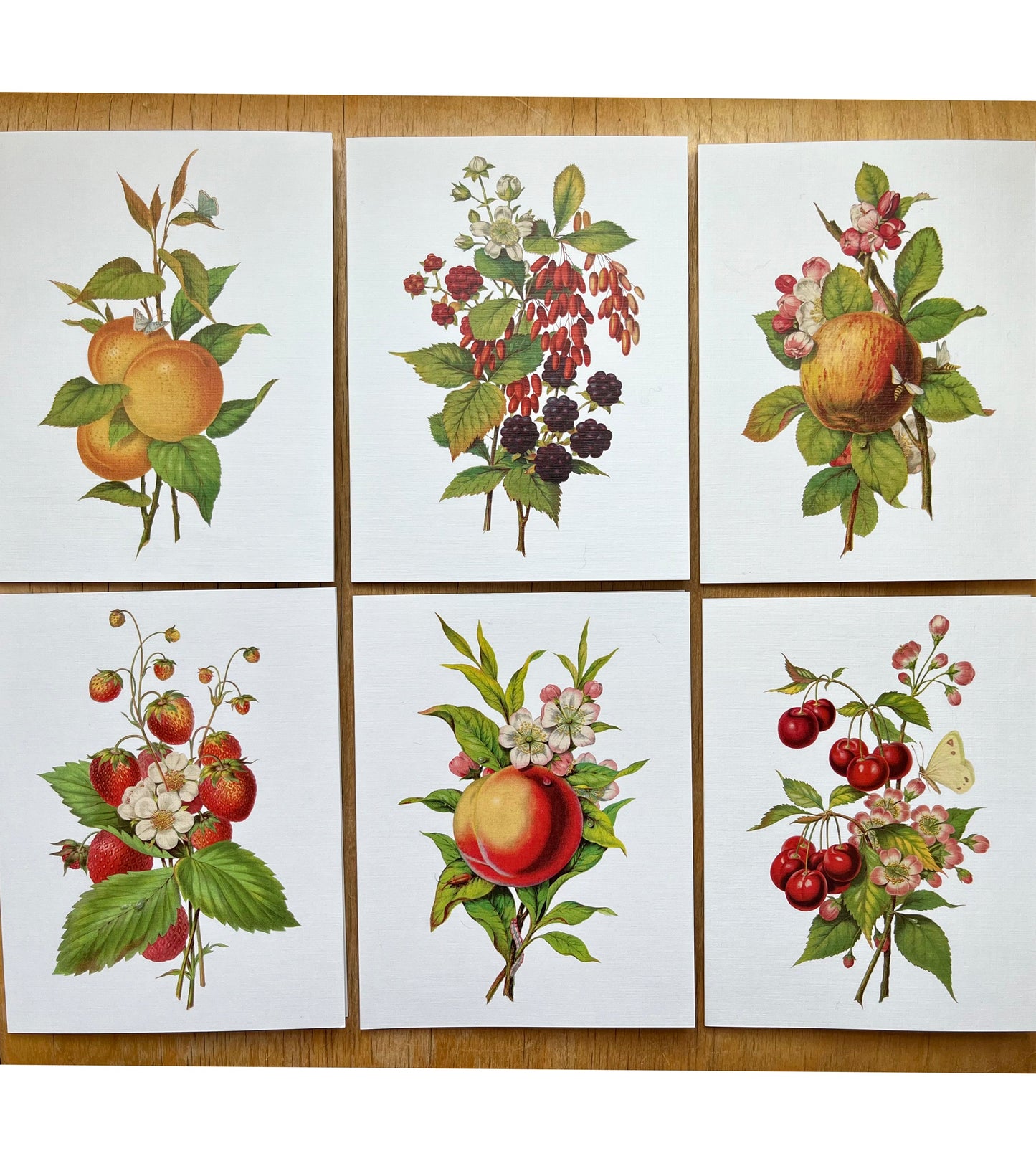 Fruits From the Garden and Field - greeting card 6 pack