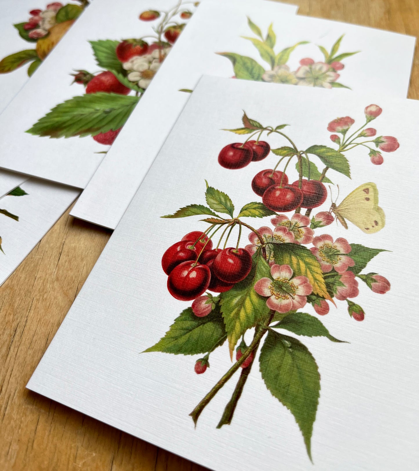 Fruits From the Garden and Field - greeting card 12 pack