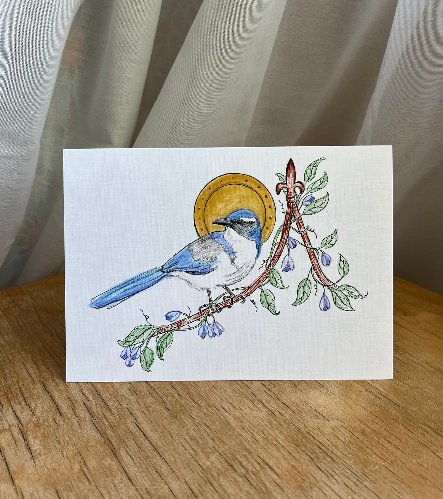 California Scrub Jay 5x7 greeting card