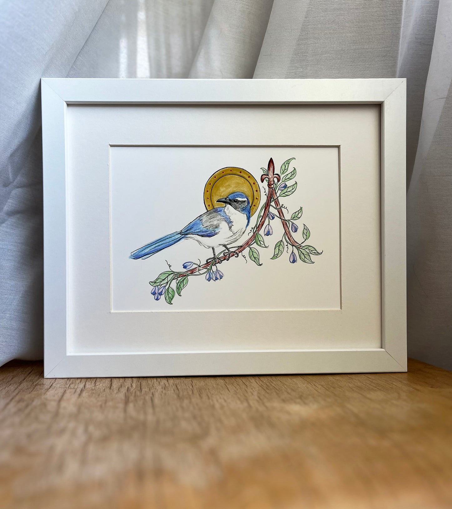 California Scrub Jay - Archival print