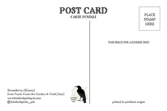 Strawberry Kisses - postcard