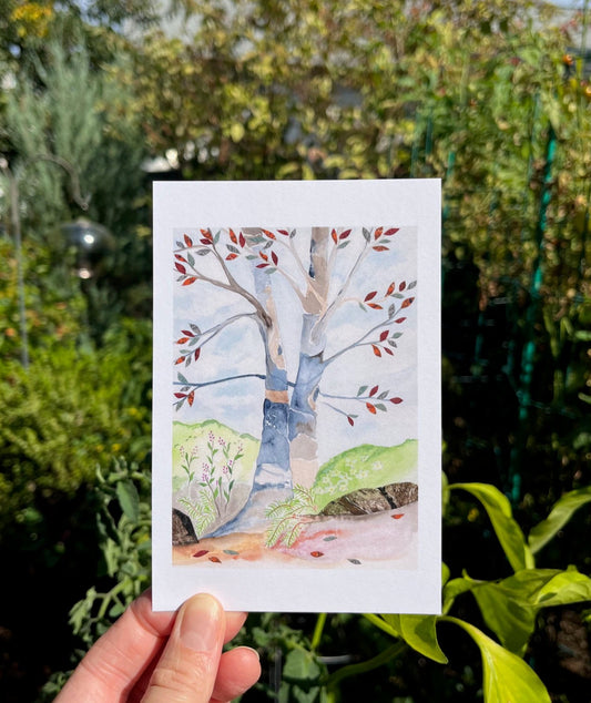 Longing for Spring postcard