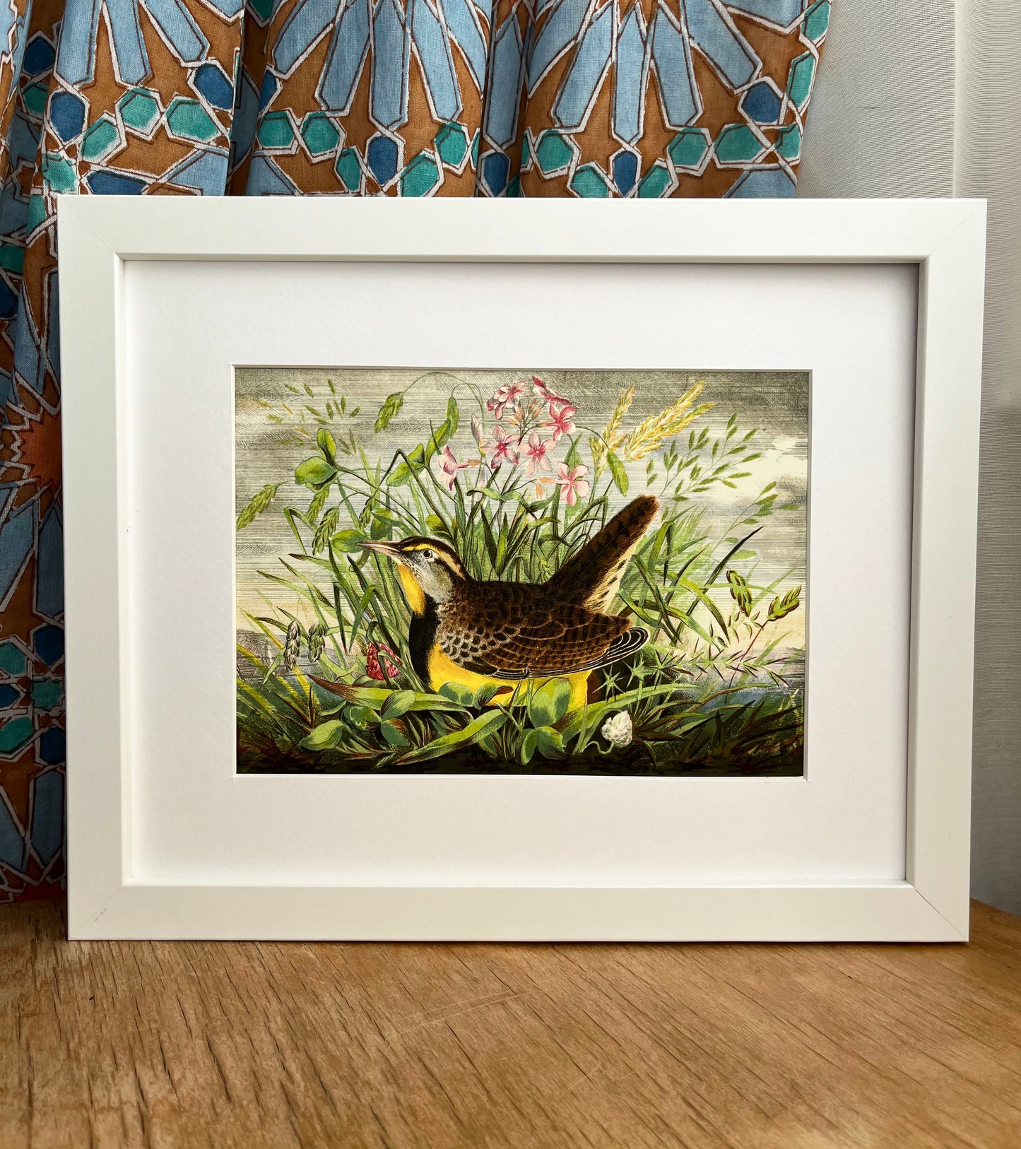 Western Meadowlark - Archival print