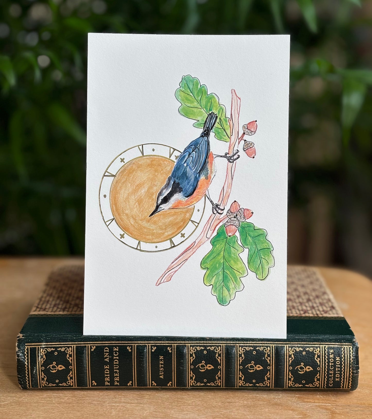 Nuthatch - postcard