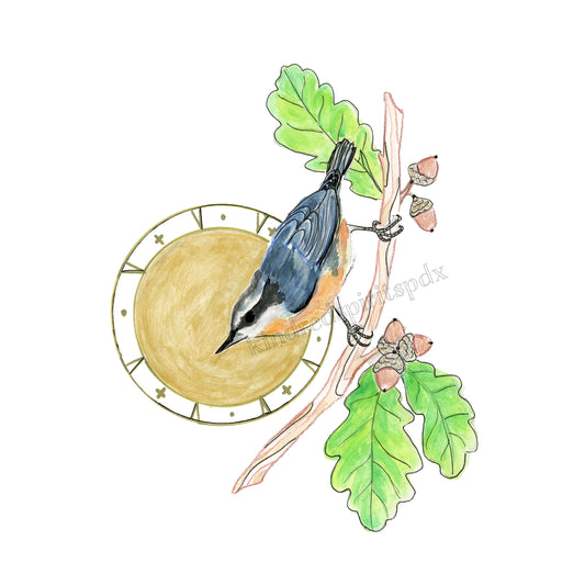 Nuthatch - Archival print