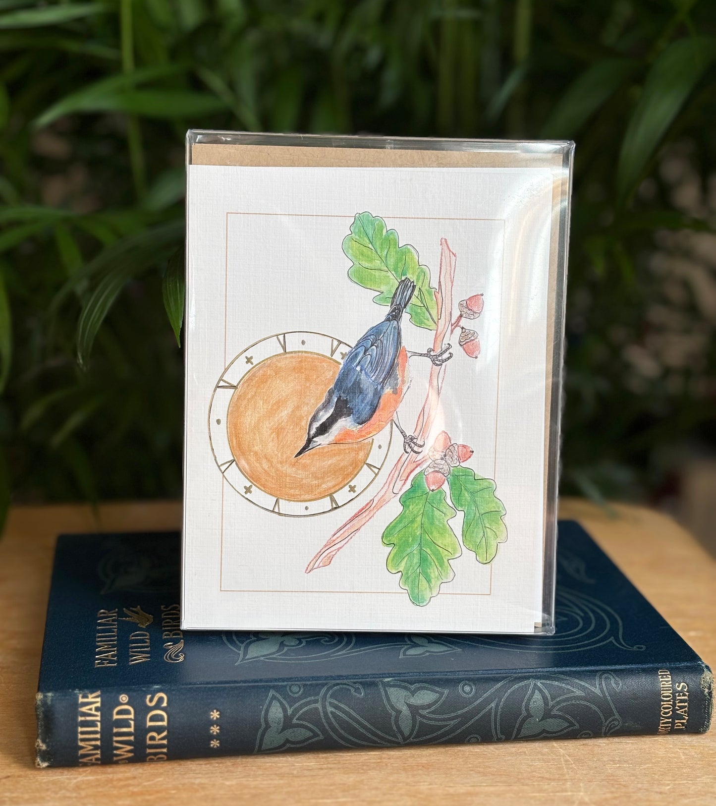 Backyard Birds of the Pacific Northwest greeting card 6 pack