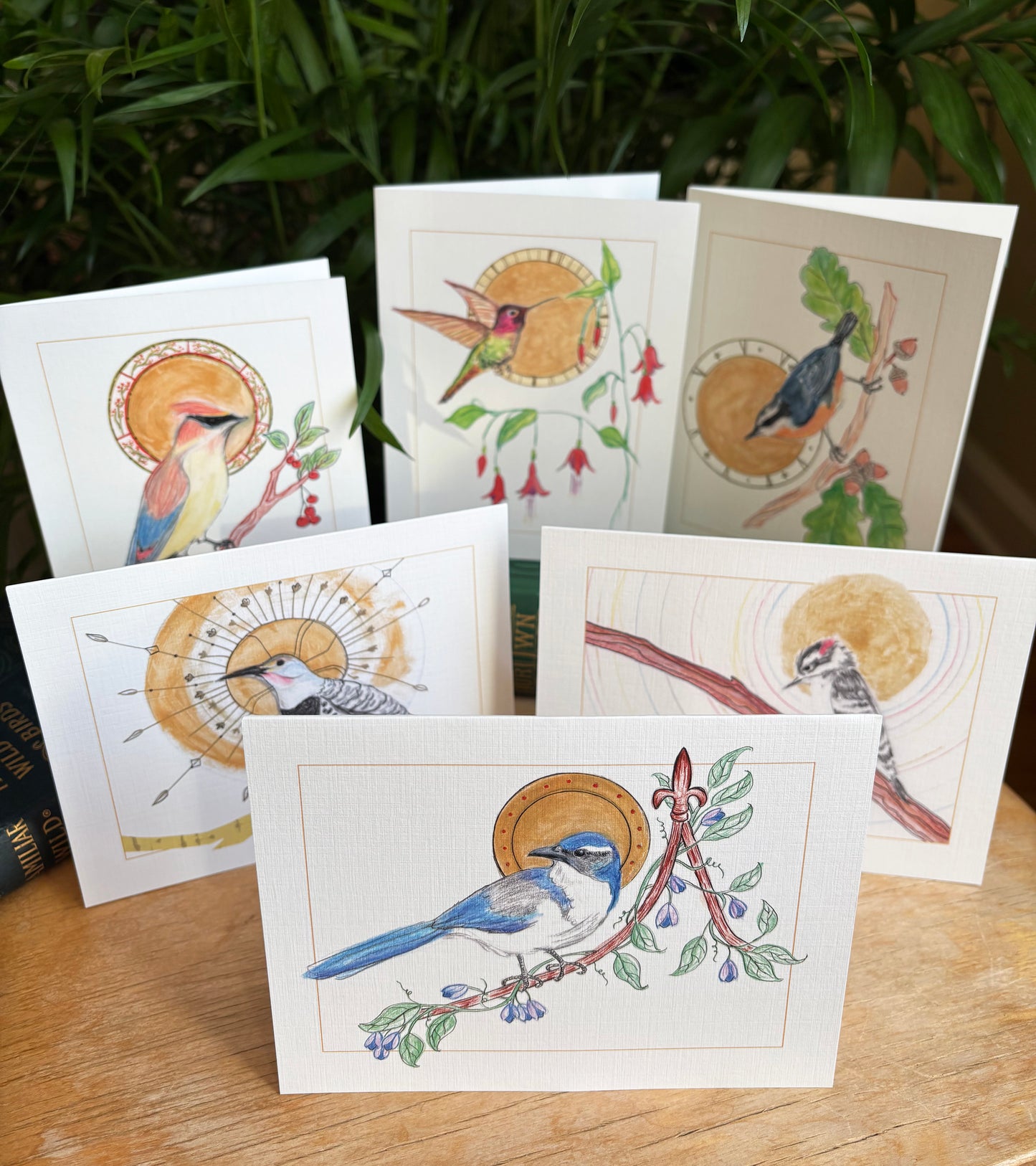 Backyard Birds of the Pacific Northwest greeting card 6 pack