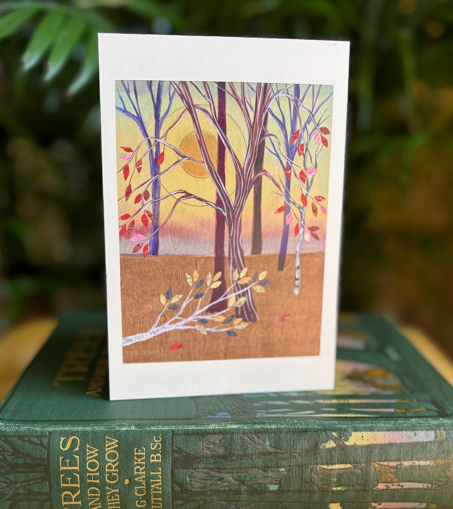 An Unfathomable Loss postcard