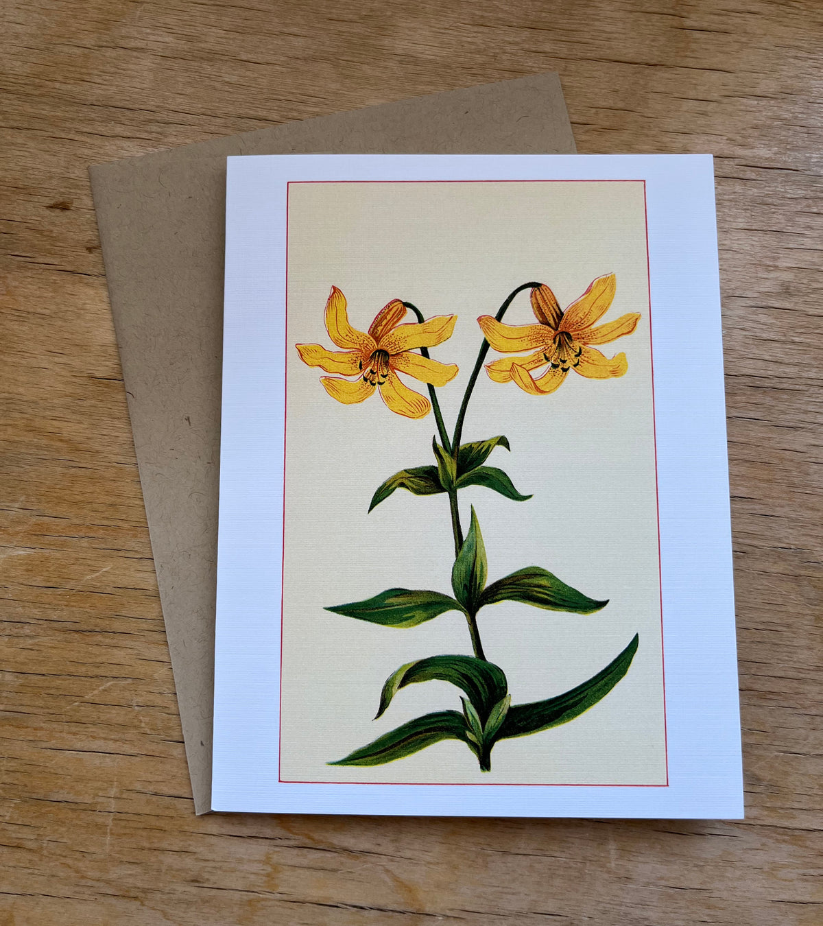 Wild flowers of America - greeting card 4 pack (yellow varieties)