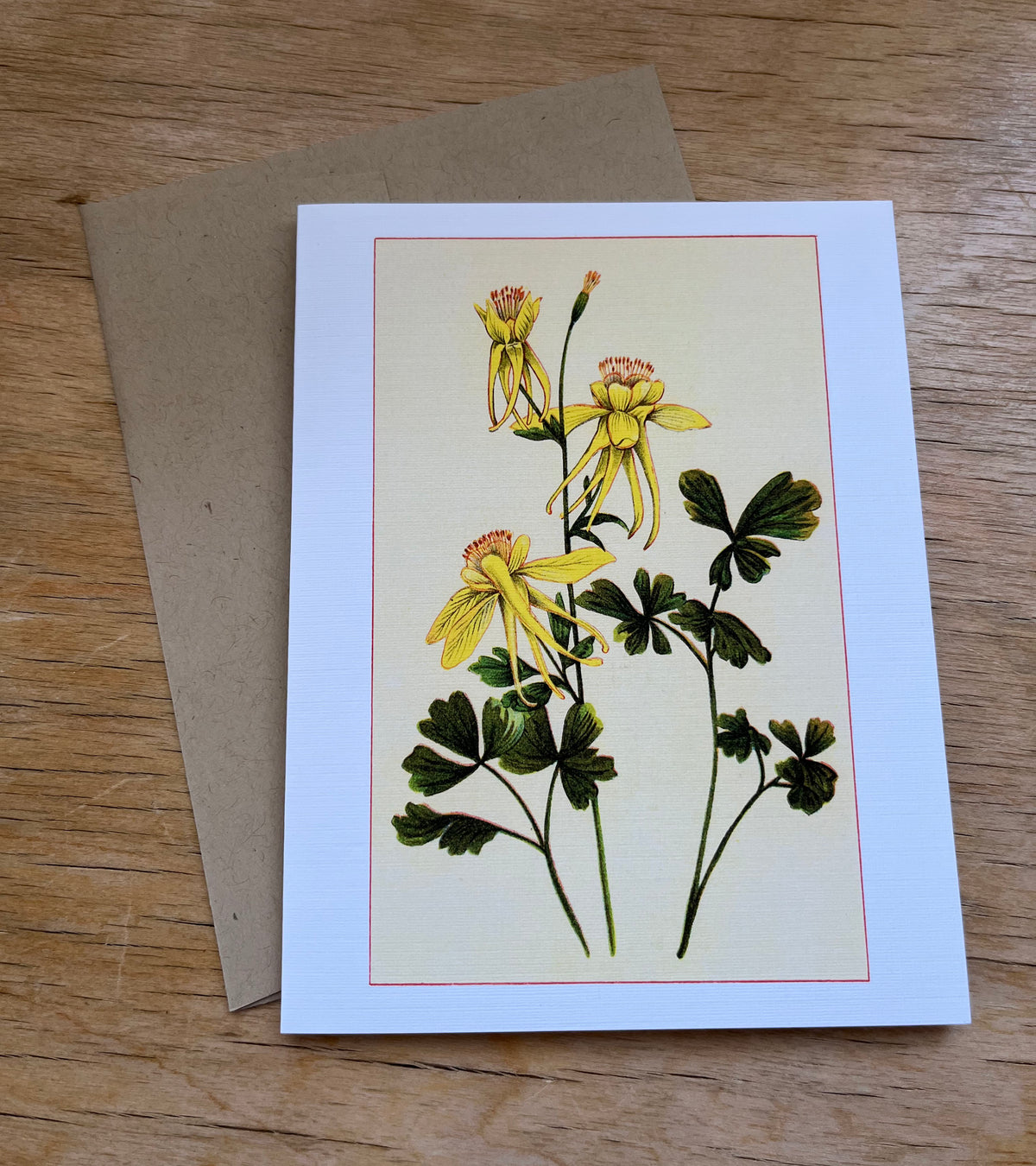 Wild flowers of America - greeting card 4 pack (yellow varieties)
