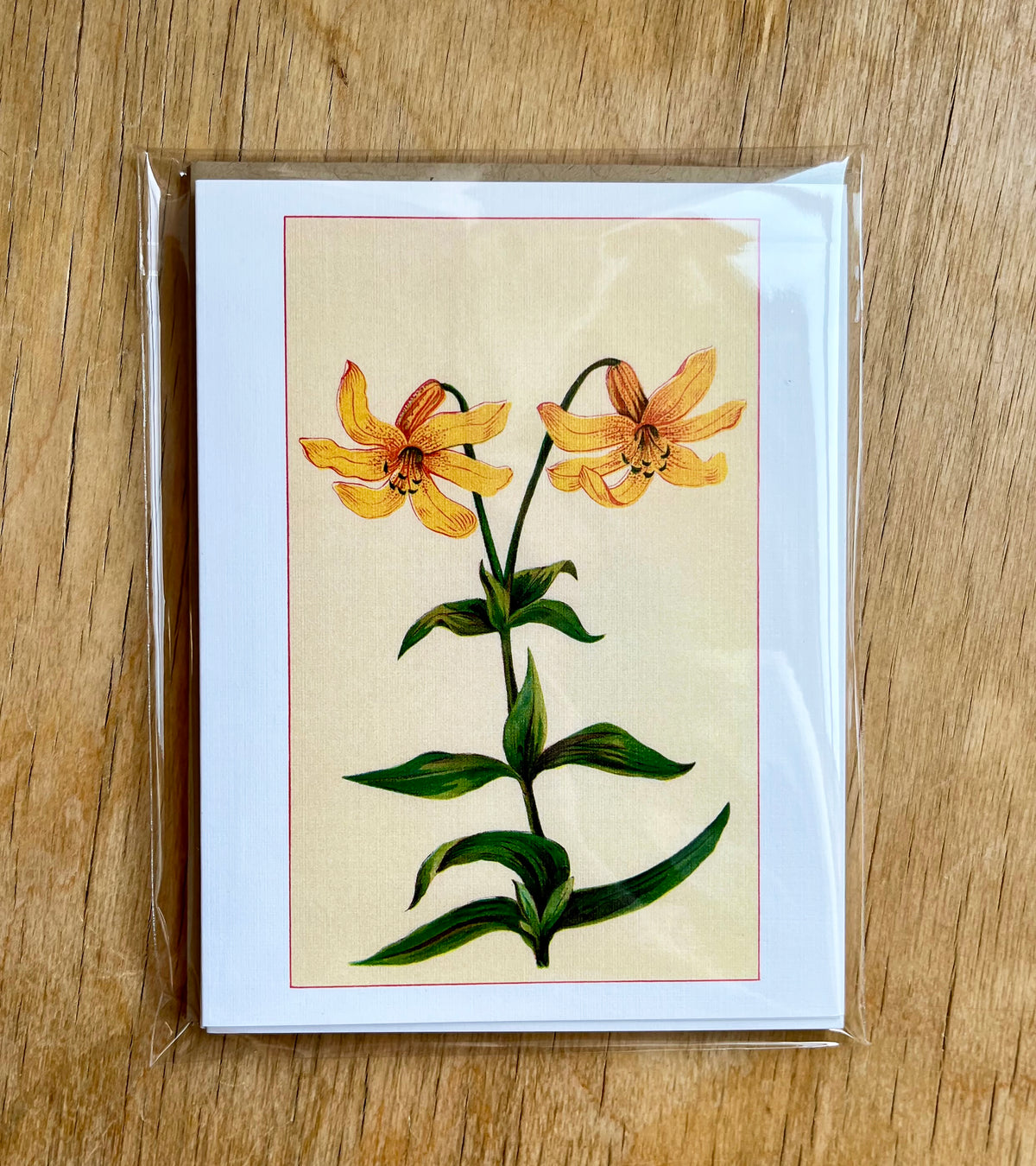 Wild flowers of America - greeting card 4 pack (yellow varieties)