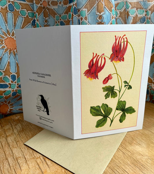 Columbine - 5x7 greeting card