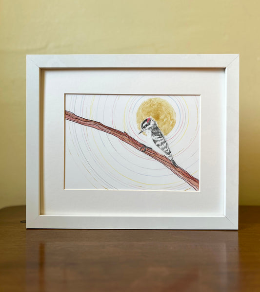 Downy Woodpecker - Archival print