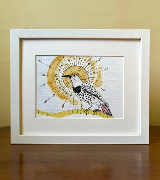 Northern Flicker - Archival print