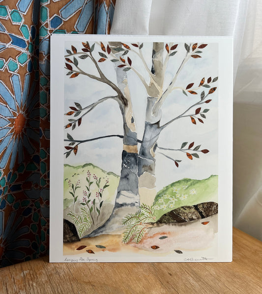 Longing for Spring - Archival print