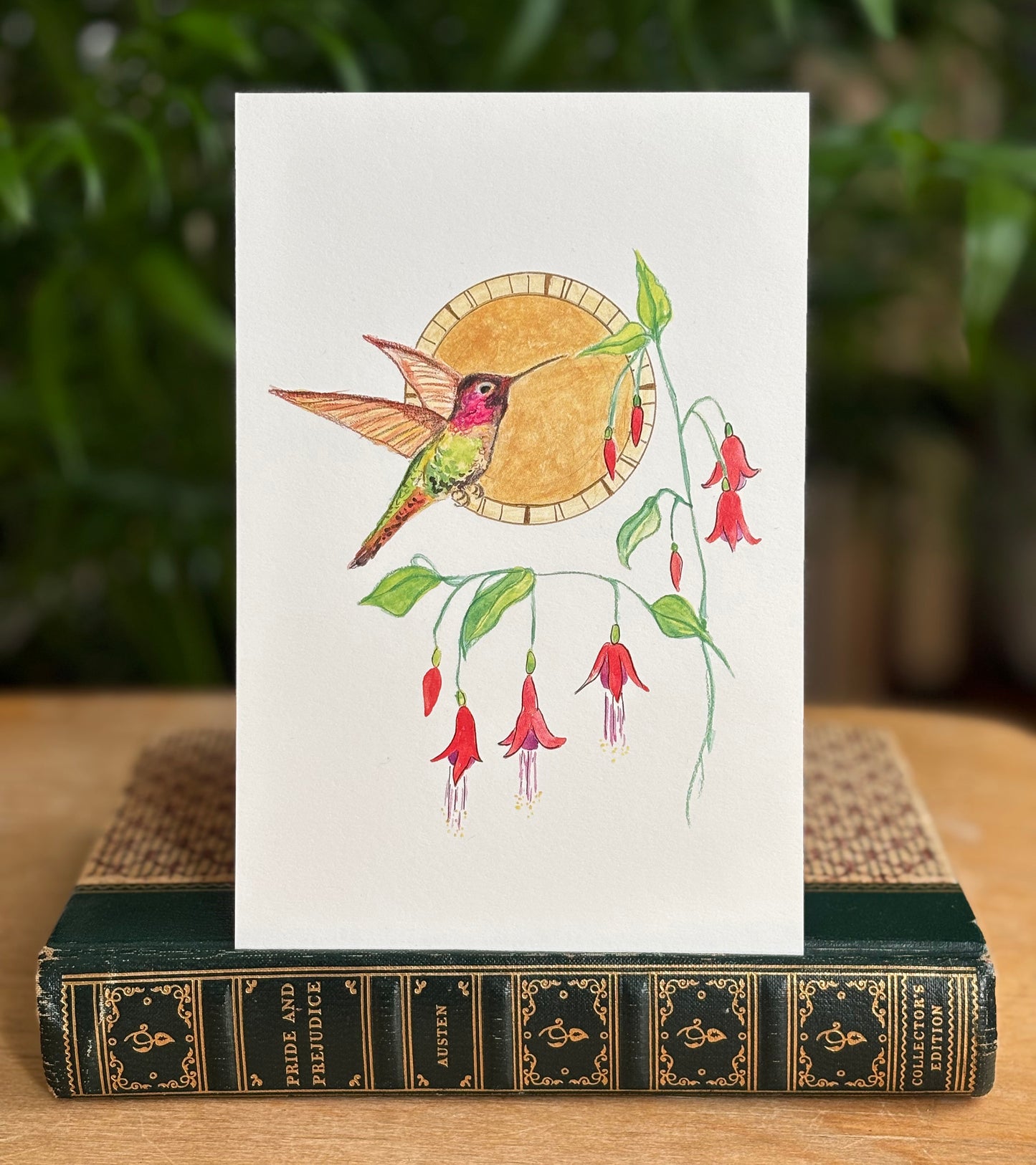 Anna's Hummingbird - postcard