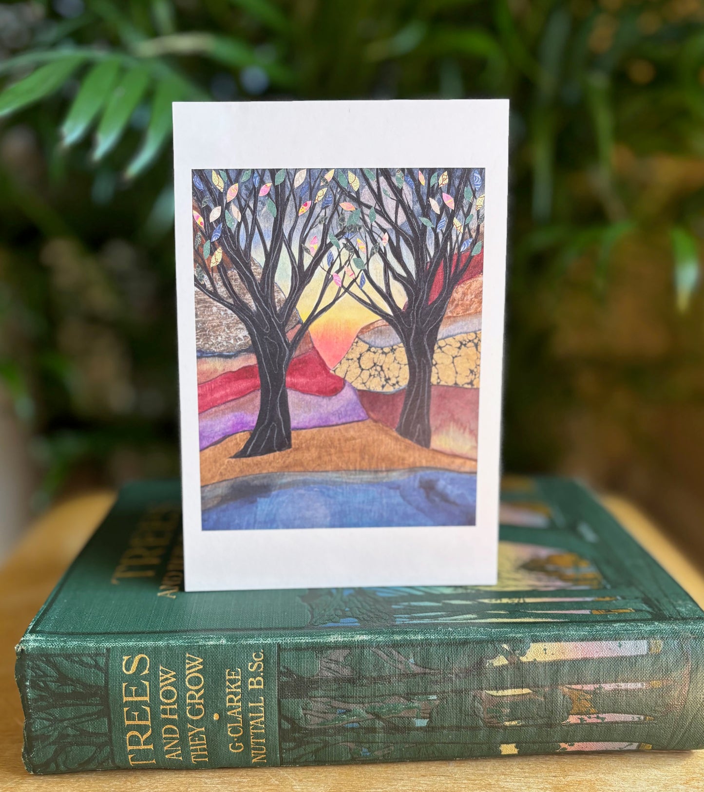 An Offering postcard
