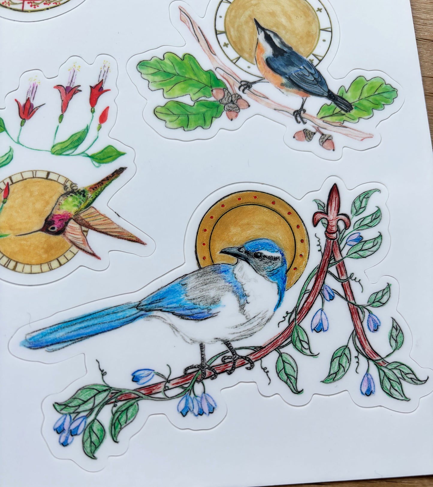 Backyard Birds of the Pacific Northwest vinyl sticker sheet