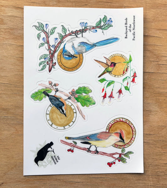 Backyard Birds of the Pacific Northwest vinyl sticker sheet