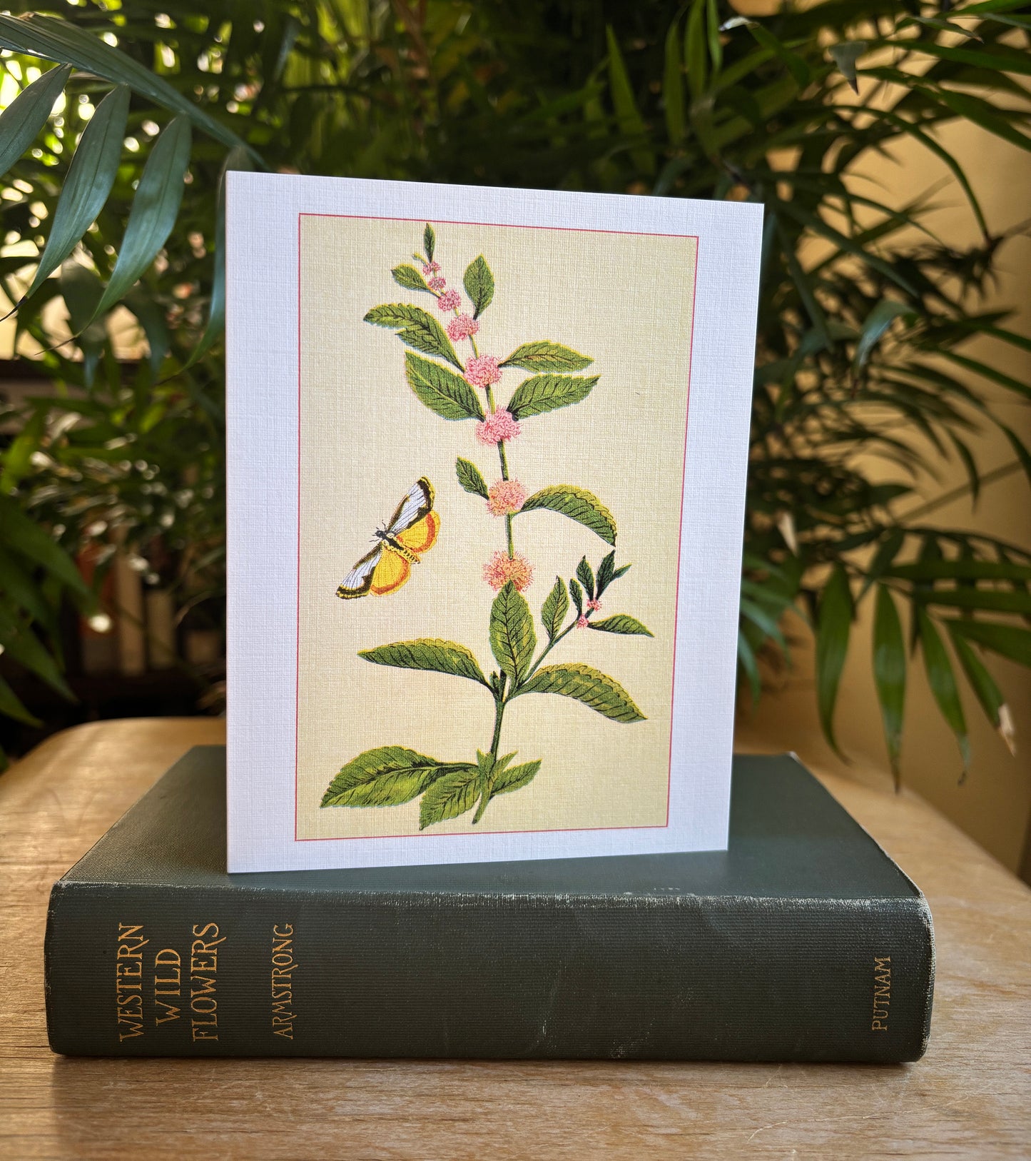 Wild flowers of America - greeting card 4 pack (Bouquet 1)