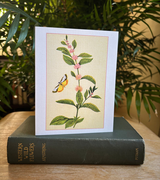 Wild flowers of America - greeting card 4 pack (Bouquet 1)