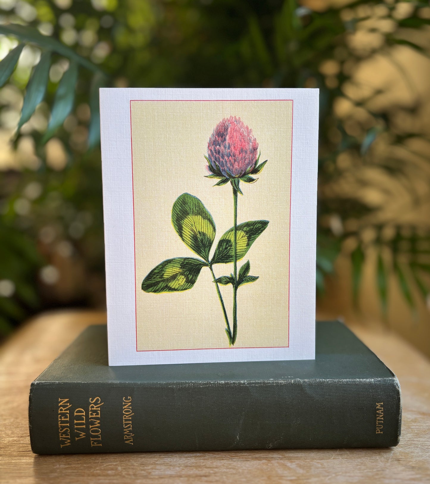 Wild flowers of America - greeting card 4 pack (Bouquet 2)