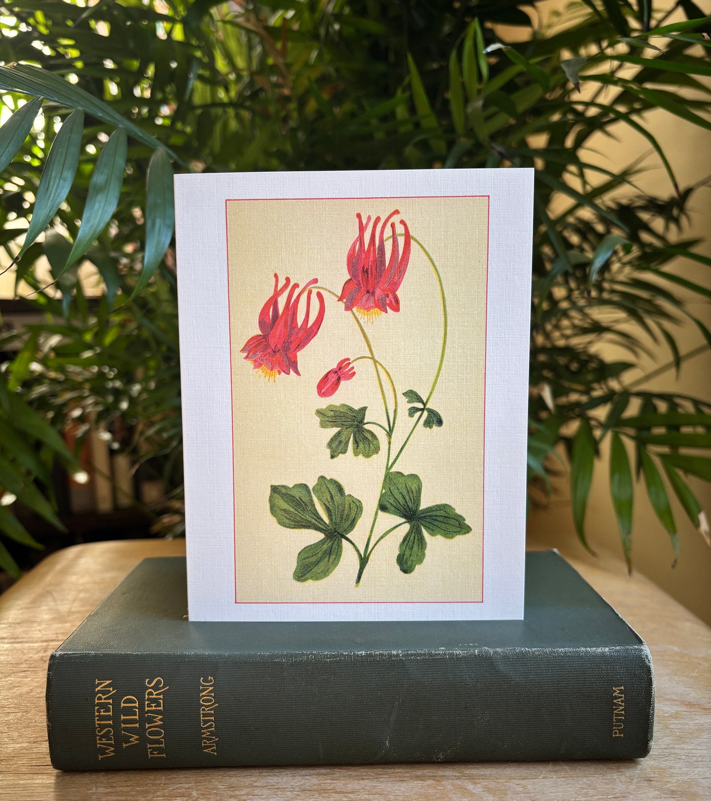 Wild flowers of America - greeting card 4 pack (Bouquet 2)