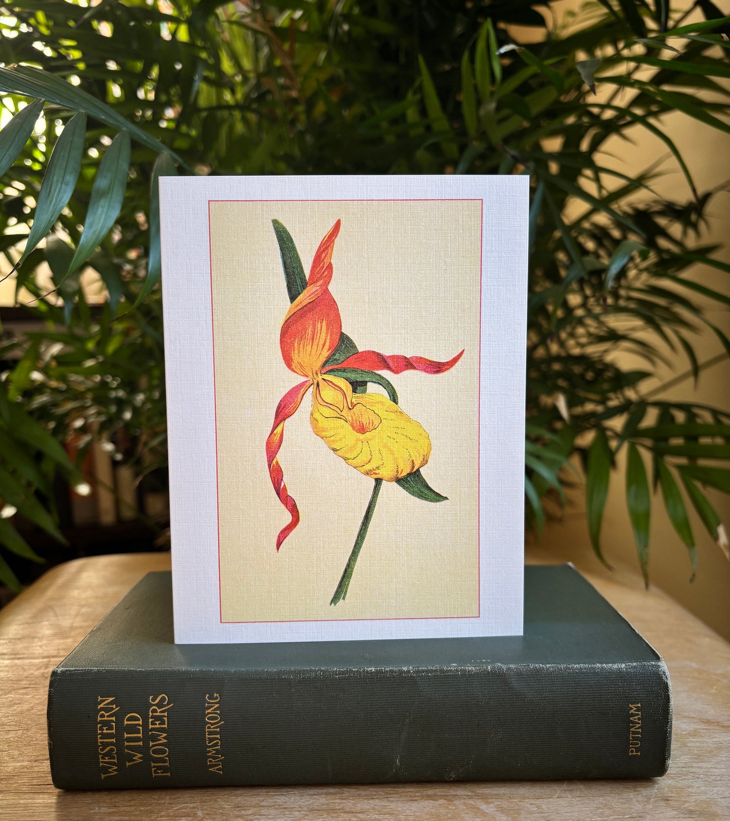 Wild flowers of America - greeting card 4 pack (Bouquet 2)