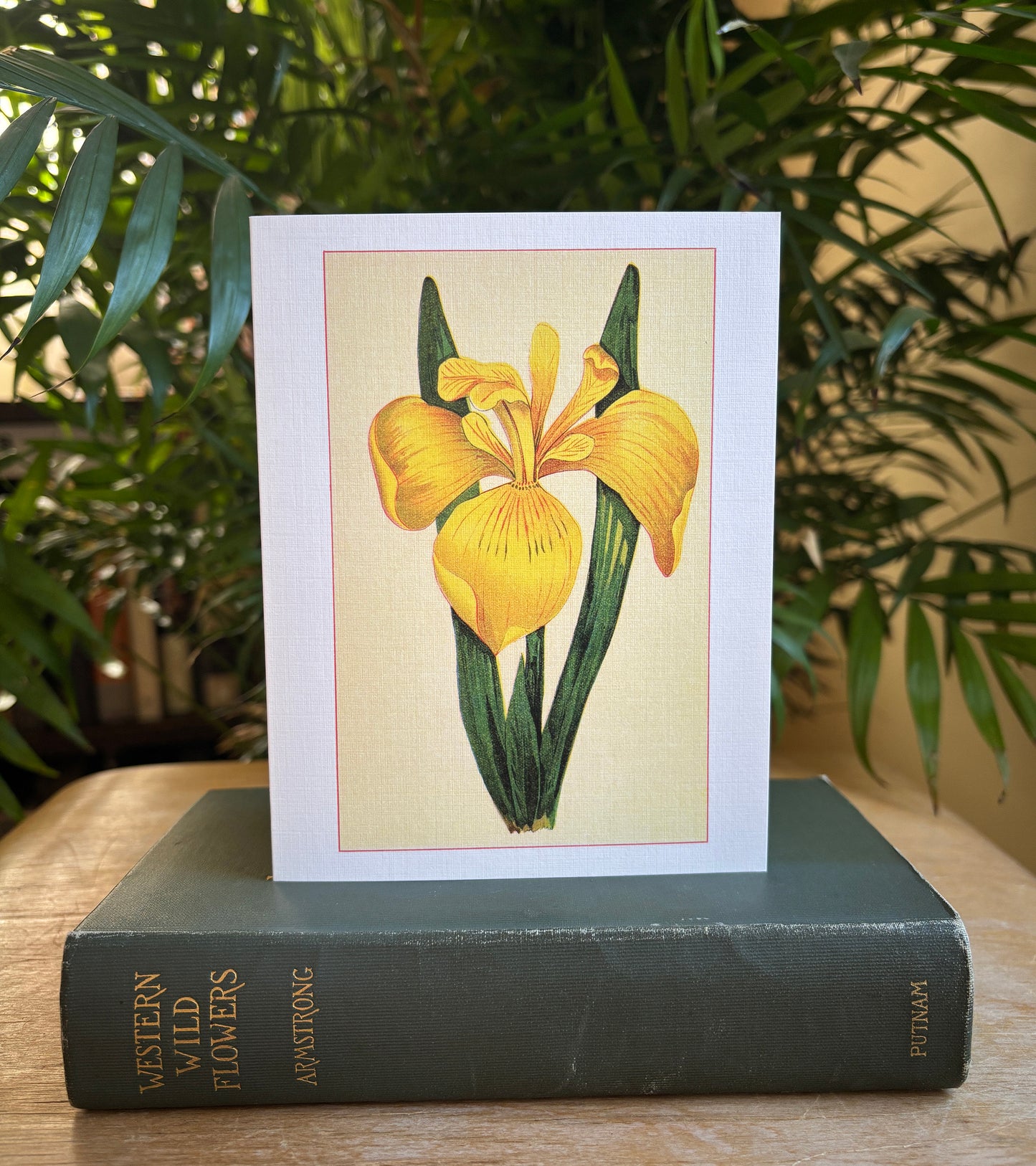 Wild flowers of America - greeting card 4 pack (Bouquet 3)