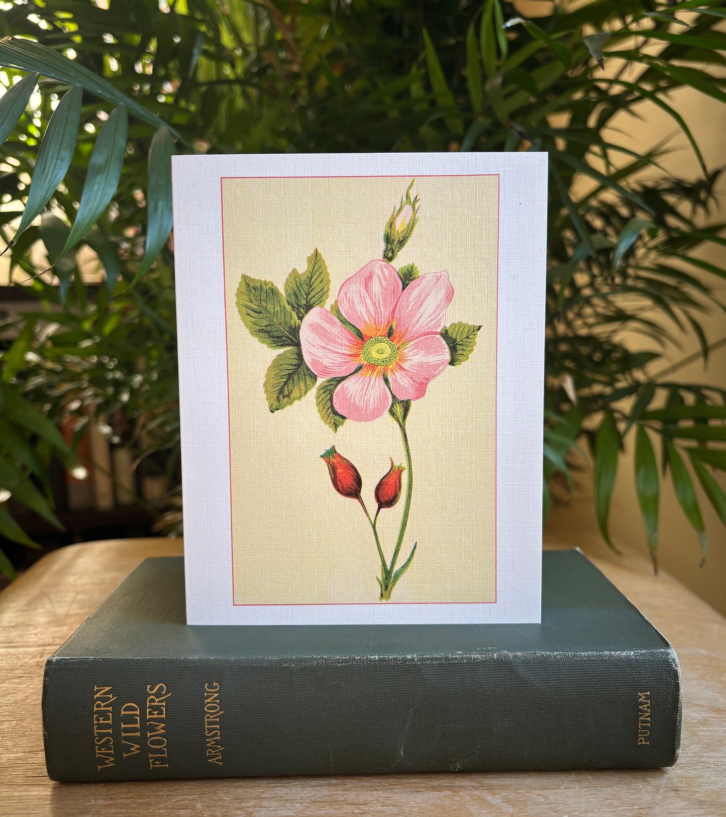 Wild flowers of America - greeting card 4 pack (Bouquet 3)