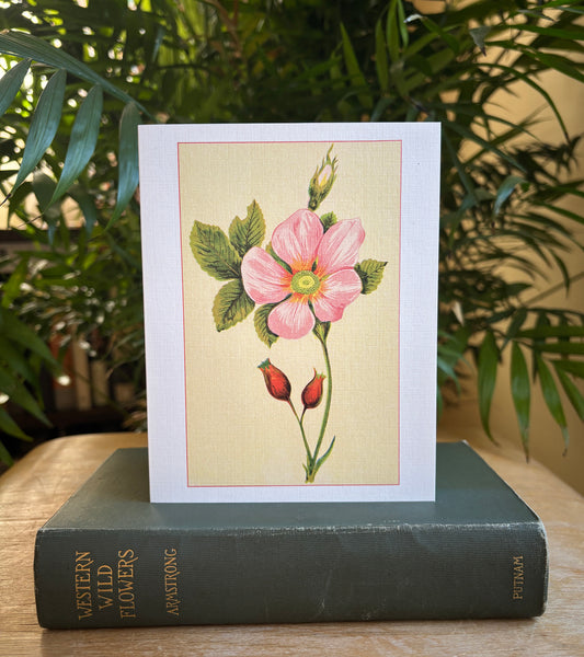 Wild flowers of America - greeting card 4 pack (Bouquet 3)