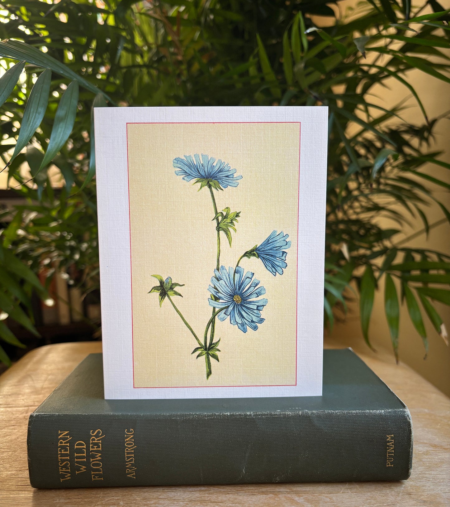 Wild flowers of America - greeting card 4 pack (Bouquet 4)