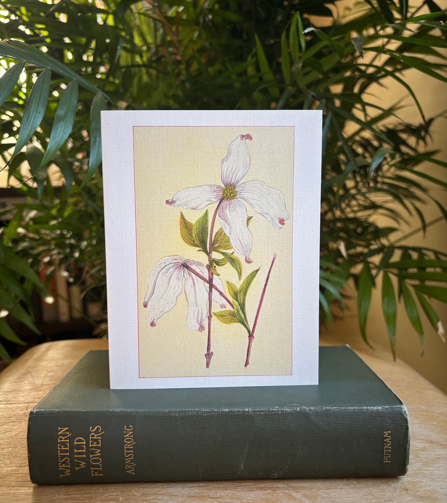 Wild flowers of America - greeting card 4 pack (Bouquet 4)