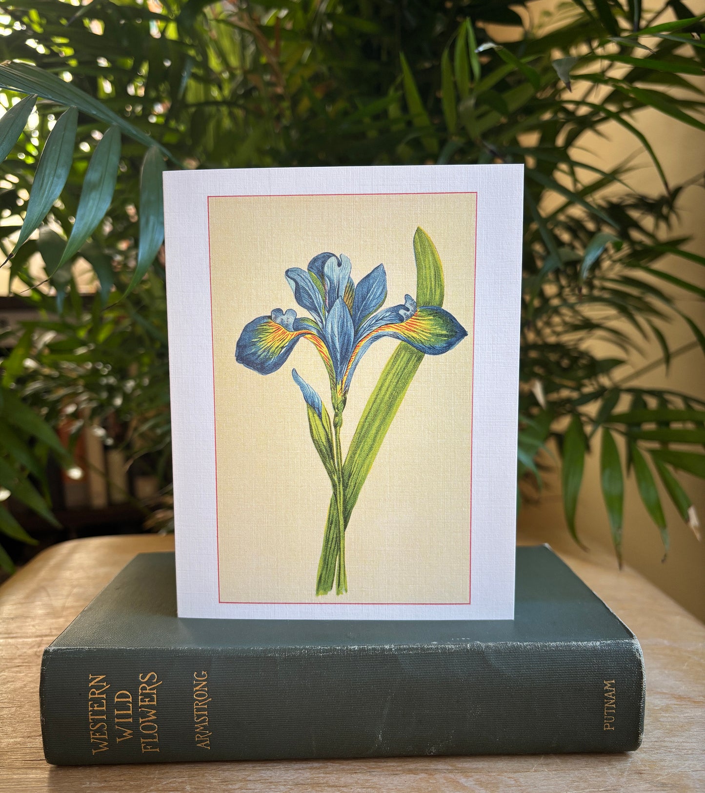 Wild flowers of America - greeting card 4 pack (Bouquet 4)