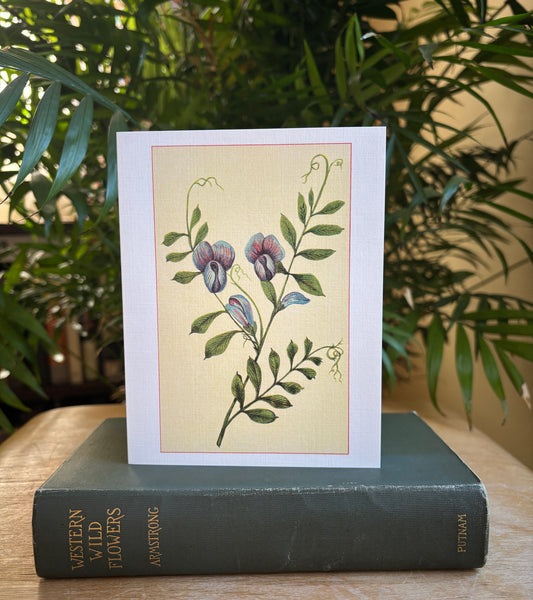 Wild flowers of America - greeting card 4 pack (Bouquet 4)