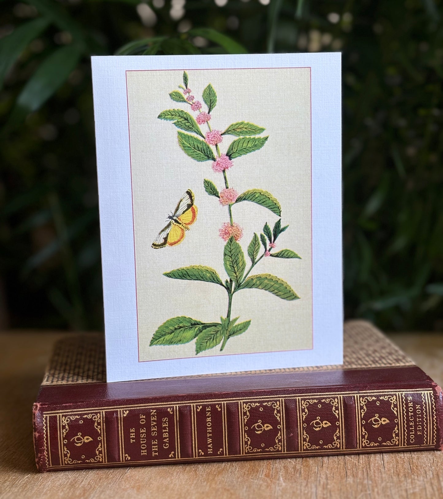 Wild flowers of America - greeting card 4 pack (butterfly set)