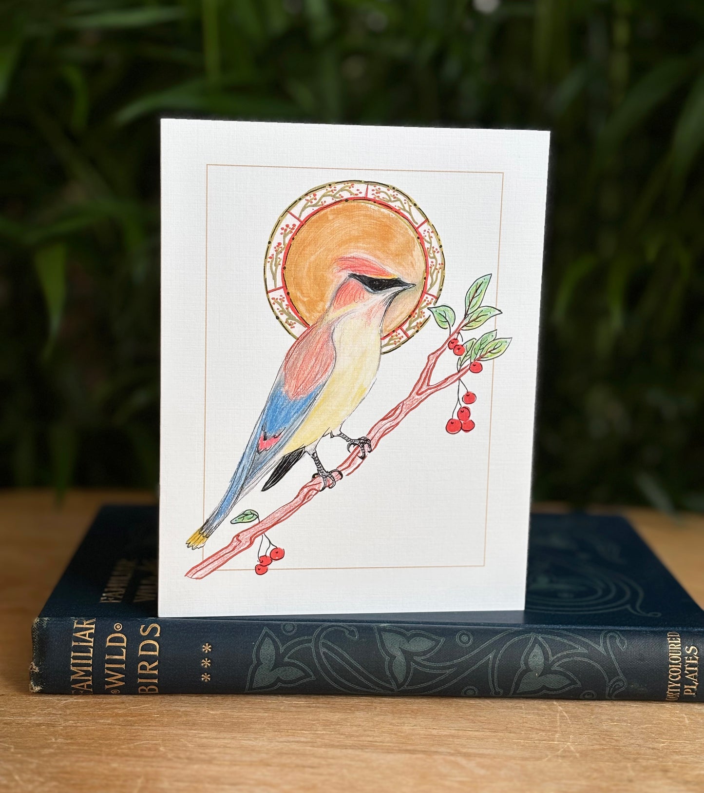 Backyard Birds of the Pacific Northwest greeting card 6 pack