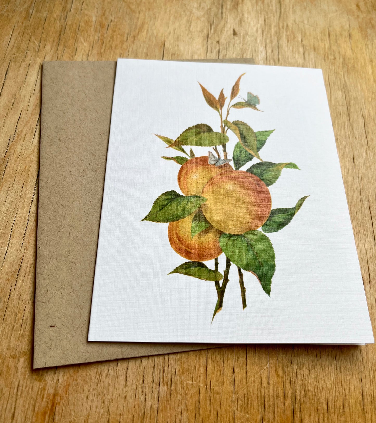 Fruits From the Garden and Field - greeting card 12 pack