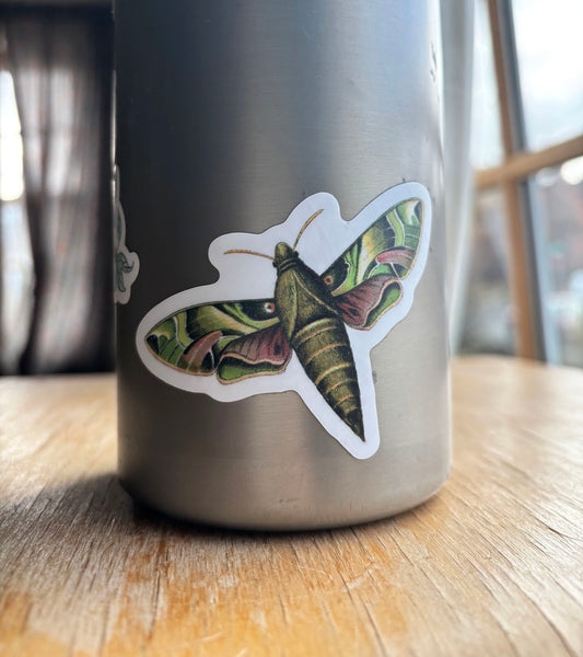 Moths - vinyl sticker sheet