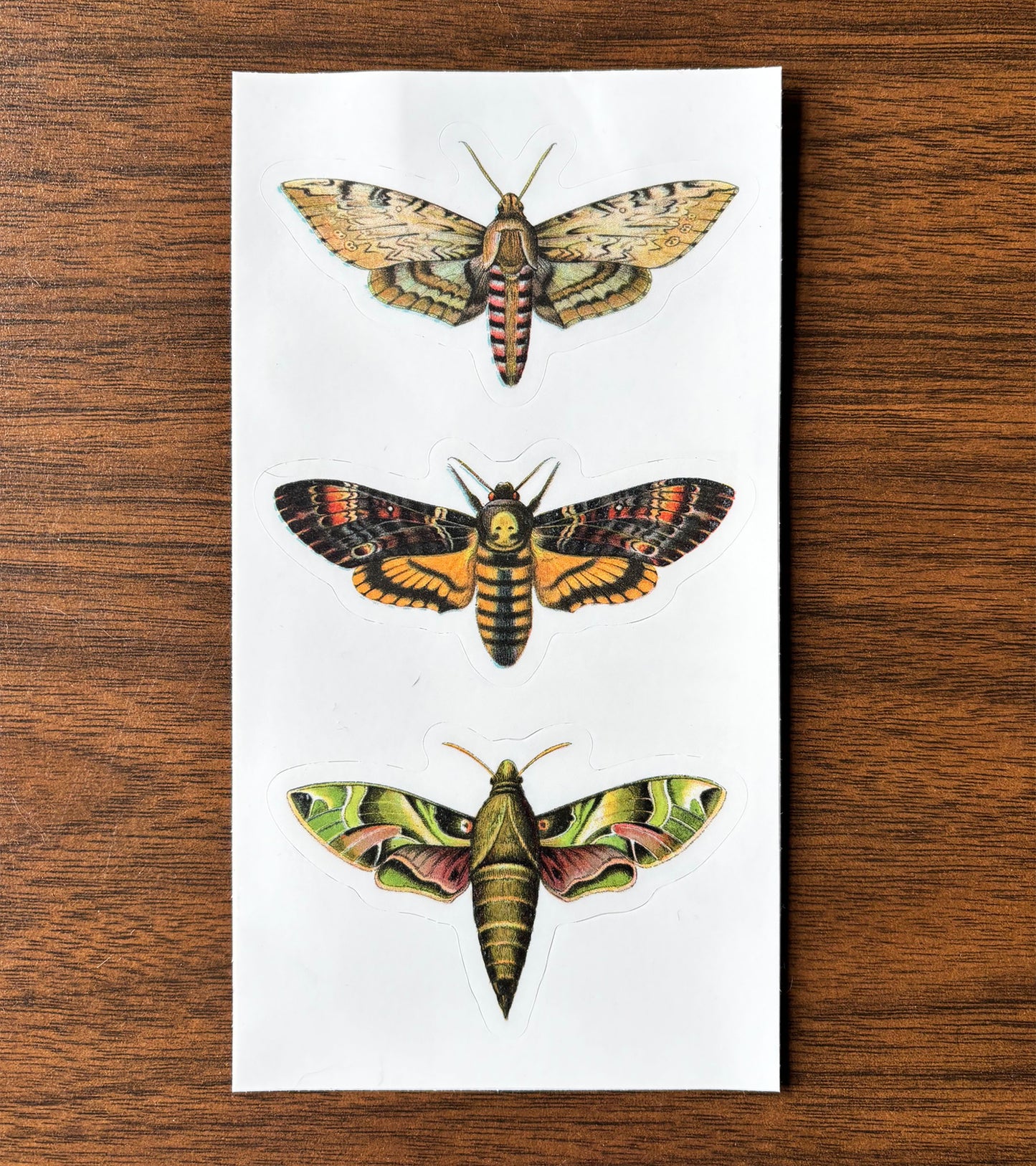 Moths - vinyl sticker sheet