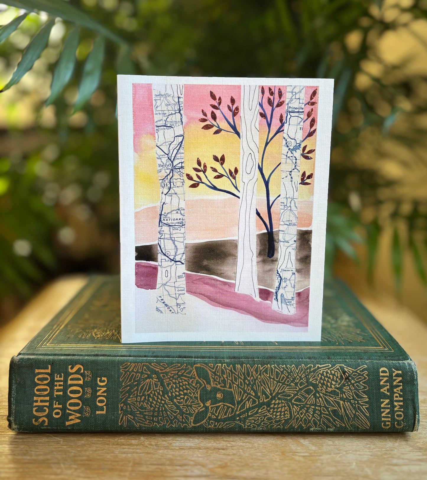 Oregon Road Trip greeting card 4 pack